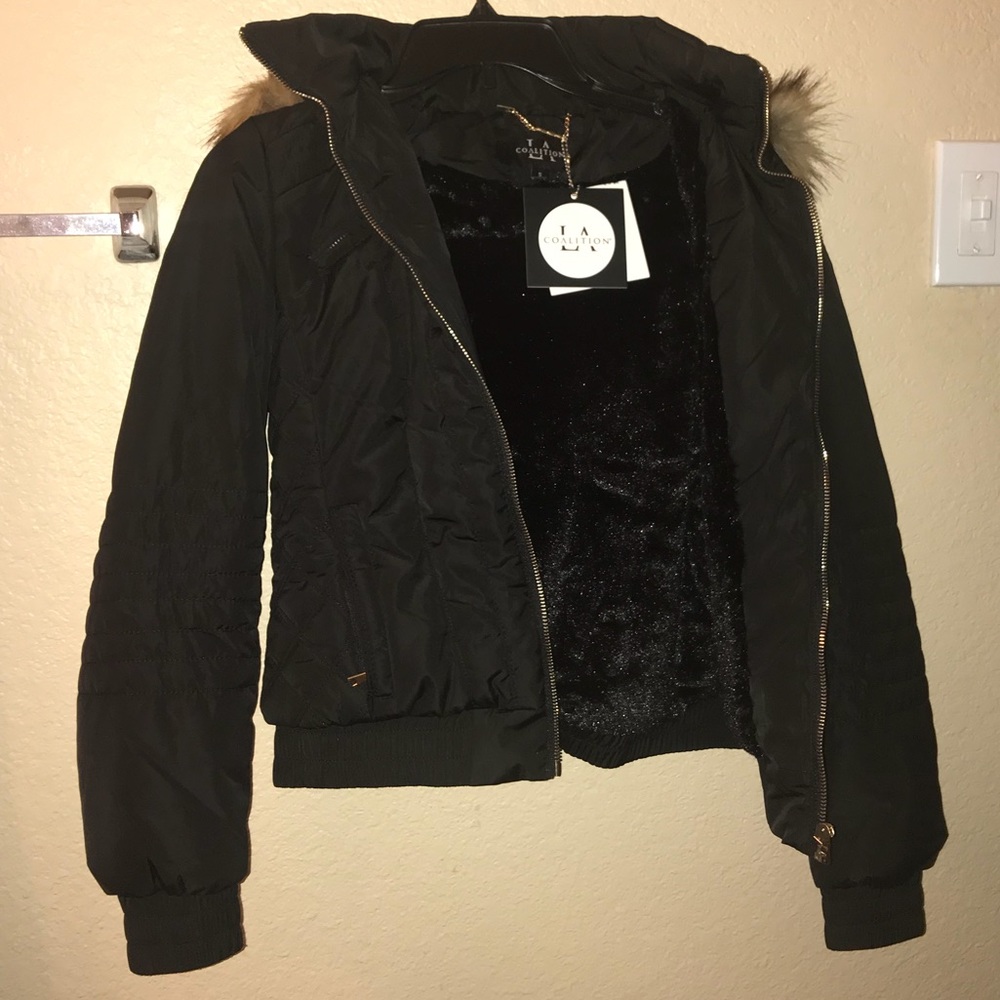 Jacket - Picture 3 of 8